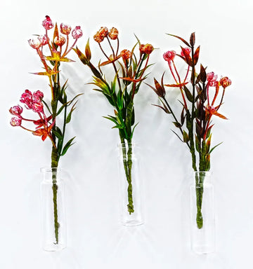 krystal kraft Aesthetic Mini Plant Bottle Fridge Magnets - Unique Gift Set of 3