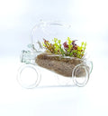 Glass stroller terrarium vase displaying air plants, eco‑friendly reclaimed bottle glass