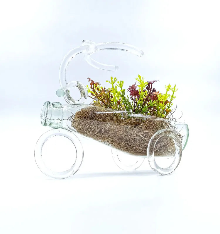 Glass stroller terrarium vase displaying air plants, eco‑friendly reclaimed bottle glass