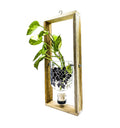 Eco-conscious handmade wall planter from recycled glass bottle, perfect for gifting