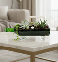Eco-friendly upcycled Glenfiddich glass bottle planter by Krystal Kraft – handmade sustainable table-top décor for succulents, cacti, and modern home interiors
