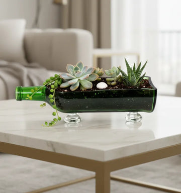 Eco-friendly upcycled Glenfiddich glass bottle planter by Krystal Kraft – handmade sustainable table-top décor for succulents, cacti, and modern home interiors