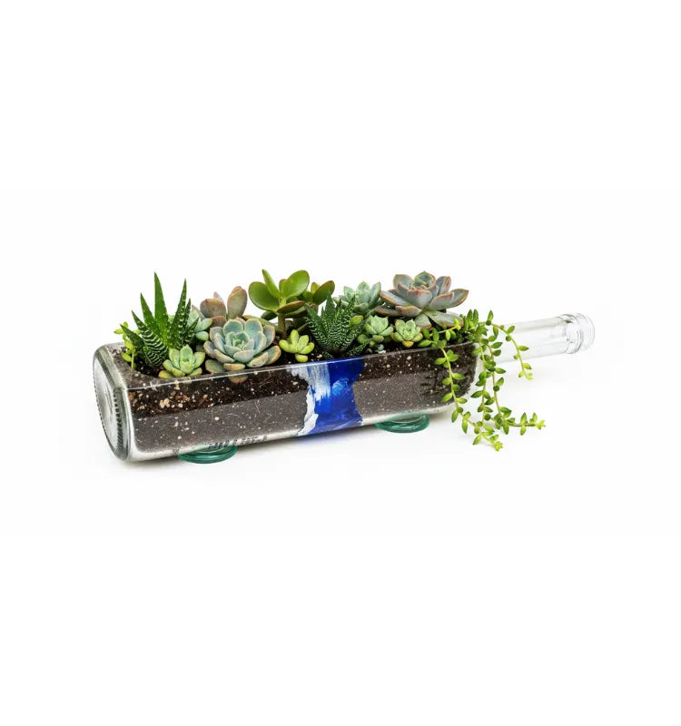KRYSTAL KRAFT Grey Goose Glass Pot Table Top Planter – Handcrafted upcycled bottle planter for indoor and outdoor décor, sustainable and eco-friendly home accessory, perfect for succulents, herbs, or decorative plants.