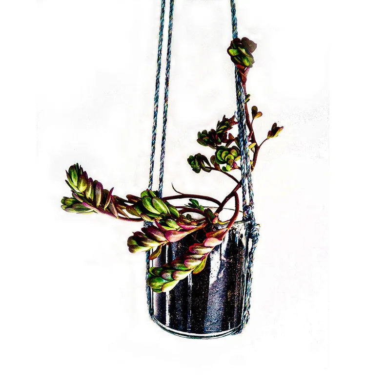 Elegant Krystal Kraft glass hanging planter with upcycled bottle design, holding a vibrant green plant in a modern living room.