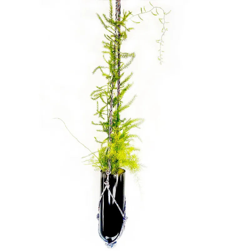 Sustainable hanging planter crafted from upcycled green glass bottle, ideal for succulents, herbs, and decorative plants