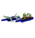 Gift-ready glass bottle planters for housewarming and Diwali