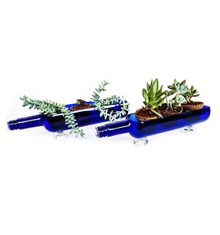 Gift-ready glass bottle planters for housewarming and Diwali