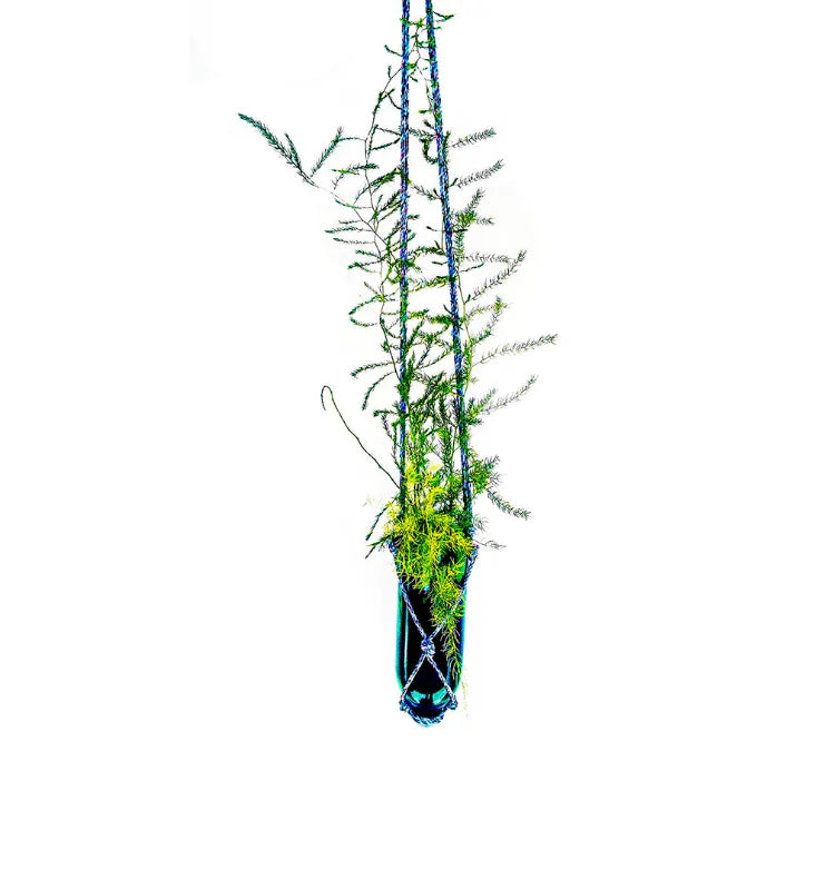 Eco-friendly upcycled hanging glass planter holding plants, ideal for modern homes, patios, and gardens.