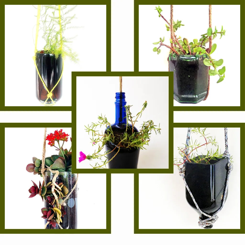 KRYSTAL KRAFT handcrafted hanging glass bottle planter made from upcycled wine bottle, eco-friendly indoor and outdoor decorative planter for modern home décor.
