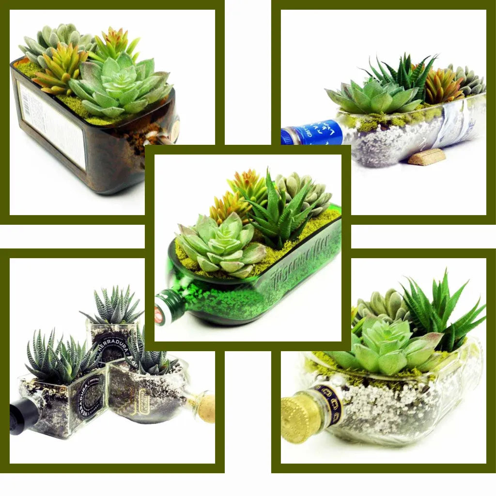 Eco-friendly KRYSTAL KRAFT handcrafted table top planter made from upcycled glass bottle, perfect for indoor plants, succulents, and sustainable home décor.