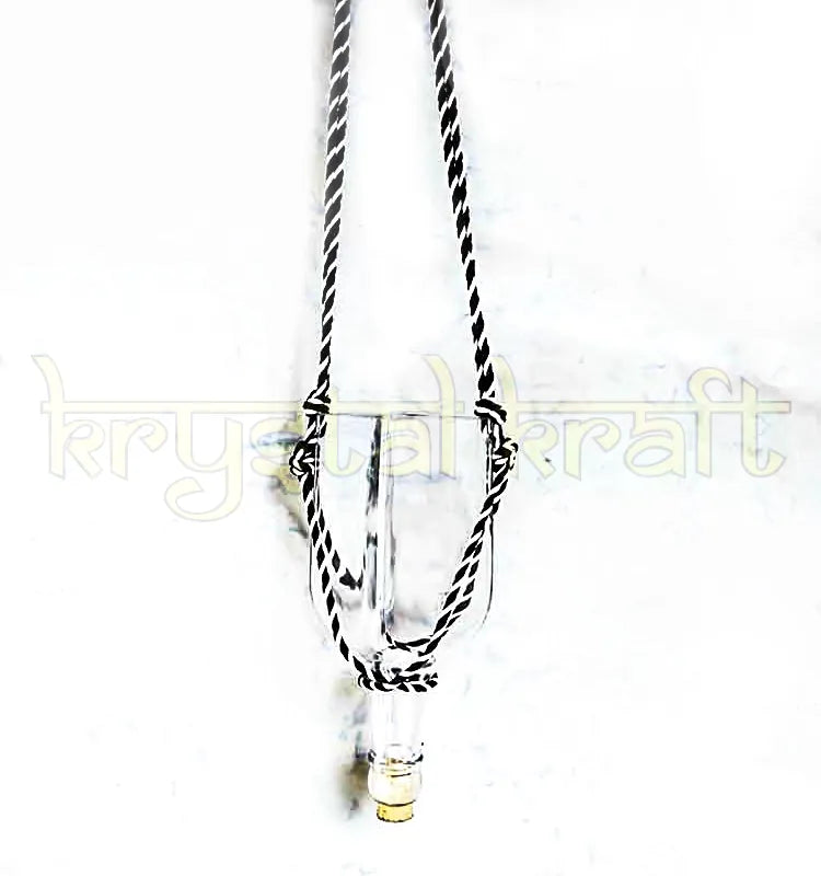 “Sustainable Decorative Bottle Planter Crafted from Recycled bottle”