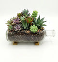 Front view of the Absolut bottle planter with wooden base