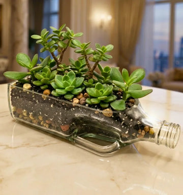 Black Label 2-litre glass bottle tabletop planter by Krystal Kraft, plants not included.
