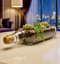 Teacher’s bottle tabletop planter by Krystal Kraft, photographed against a clean background.