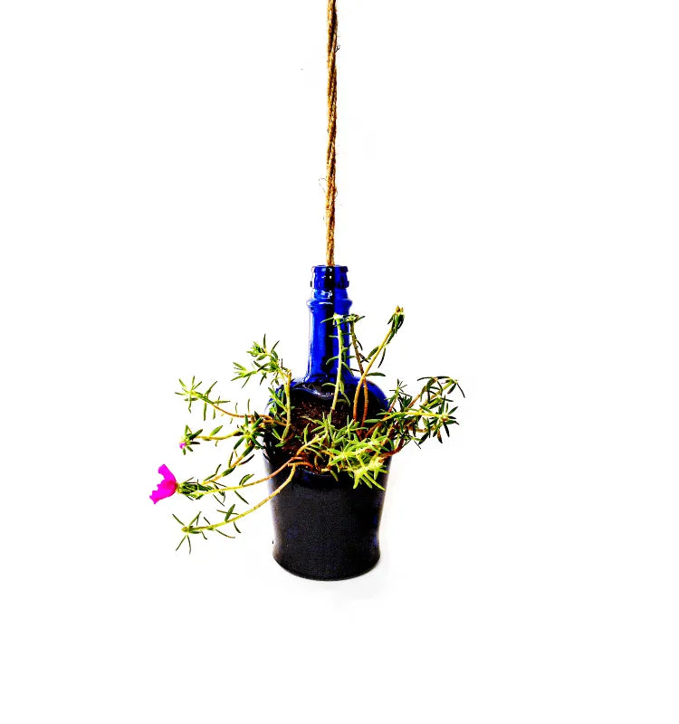Artistic upcycled glass planter made from Antiquity Blue whisky bottle, perfect for eco-friendly indoor and outdoor use.