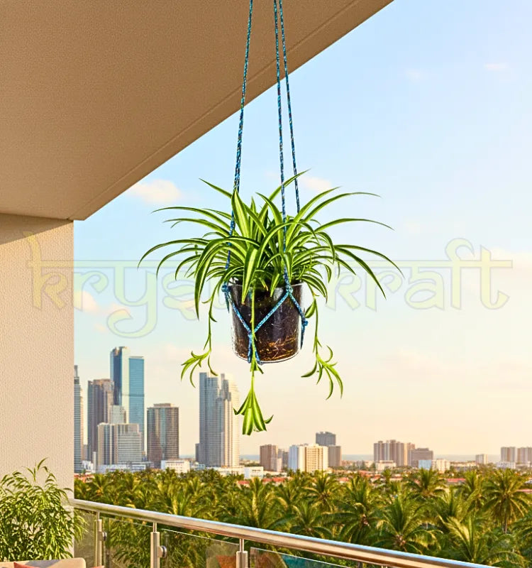 Eco-friendly Chivas Regal upcycled hanging bottle planter handcrafted from recycled glass.