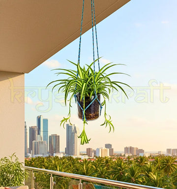 Eco-friendly Chivas Regal upcycled hanging bottle planter handcrafted from recycled glass.