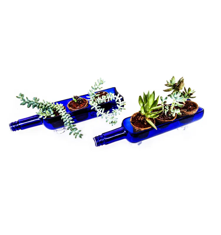 Balcony and kitchen décor with handcrafted bottle planters