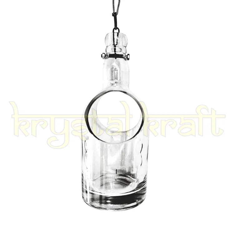 “Artistic upcycled glass bottle planter hanging against a wall, showcasing minimalist green décor for indoor and outdoor settings.”