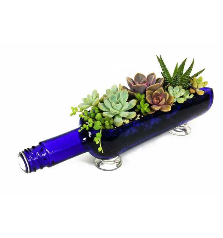 Handcrafted glass bottle planter designed for indoor plants, combining zero-waste design, sustainable décor, and unique green home aesthetics for modern living spaces.