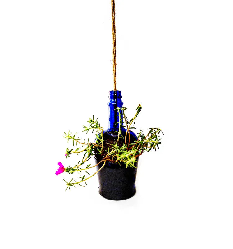 Sustainable blue glass bottle planter with drainage hole and durable jute rope, ideal for balcony and terrace gardens.