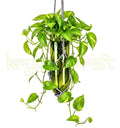 “Handmade upcycled glass bottle hanging planter in olive green for balcony plants”