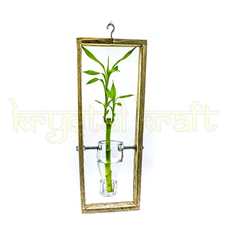 A handcrafted white transparent upcycled glass bottle planter in a hanging frame, ideal for vertical gardens, balcony décor, and sustainable indoor spaces.
