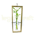 An elegant eco-friendly hanging planter made from a repurposed transparent glass bottle mounted in a frame — perfect for herbs, succulents, or air plants.
