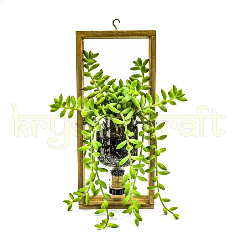 A handcrafted hanging wall planter made from an upcycled Greater Than Gin bottle, mounted on a sleek frame — perfect for growing succulents, herbs, or indoor plants with sustainable style.