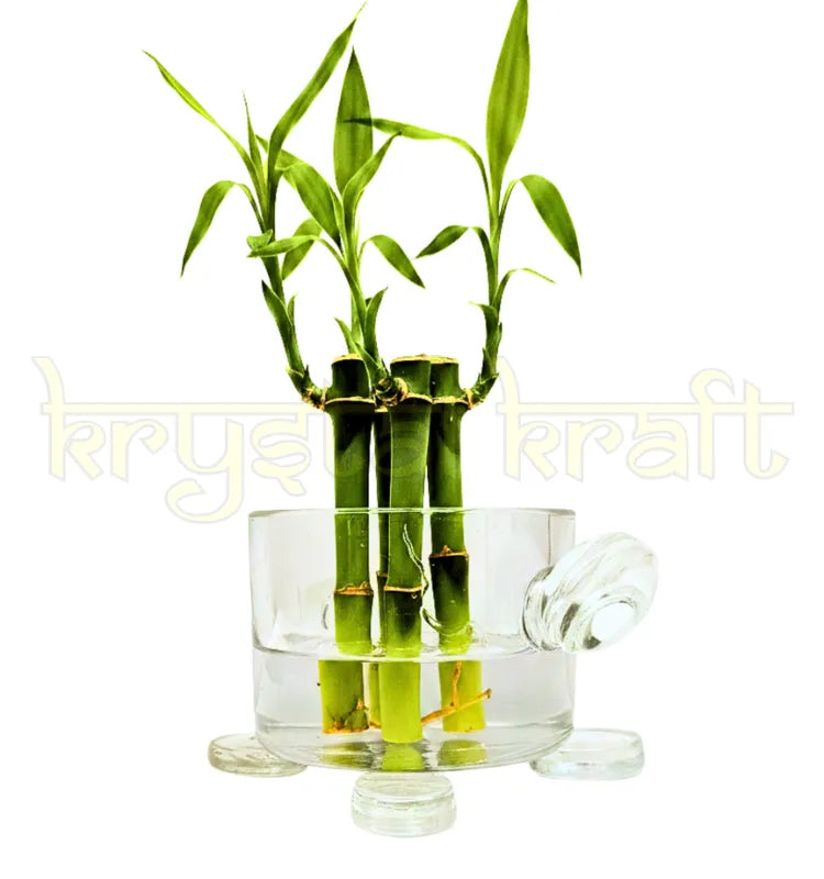 Upcycled glass turtle planter with a small succulent sitting on an office desk, handmade by artist brand Krystal Kraft