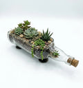 Close-up of handcrafted Glenlivet white glass bottle planter showing smooth cut rim and label detail