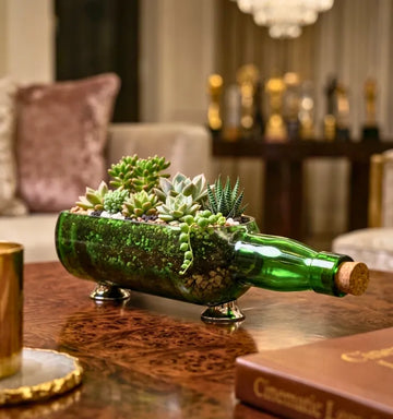 Upcycled Glenlivet green bottle planter with money plant on a wooden table