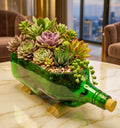 Table top 2 litre green signature bottle planter with money plant on a wooden table