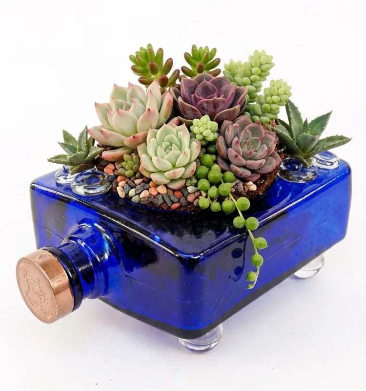 Upcycled Haig Club blue bottle planter styled on a work desk as home office décor