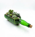 Close-up of handcrafted green glass Glenlivet bottle planter neck and smooth cut edge