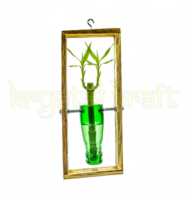 An elegant hanging wall planter handcrafted from an upcycled green neck glass bottle mounted on a rustic frame — perfect for indoor plants, balcony gardens, and eco-friendly home decor.