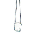 Artisan Krystal Kraft glass bottle planter hand-knotted for stylish hanging display, ideal for kitchen or dining room greenery.