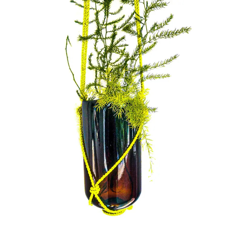 Upcycled 2L chemical brown glass hanging planter with jute rope, perfect for indoor and outdoor plants.