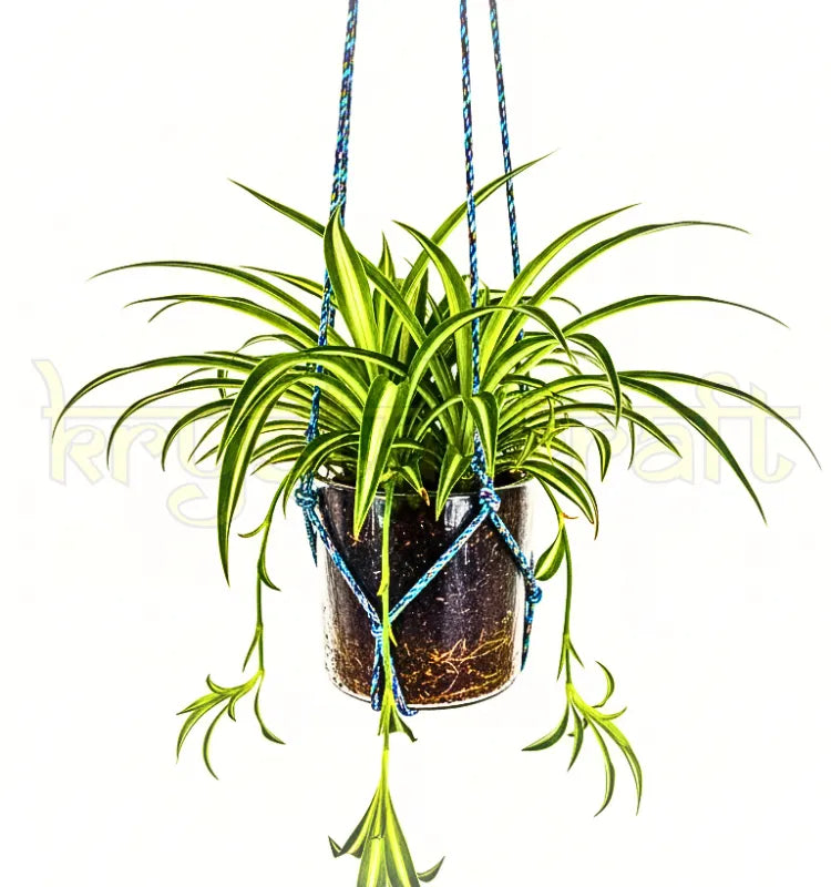 Stylish handmade bottle hanging planter perfect for home, balcony, and garden décor.