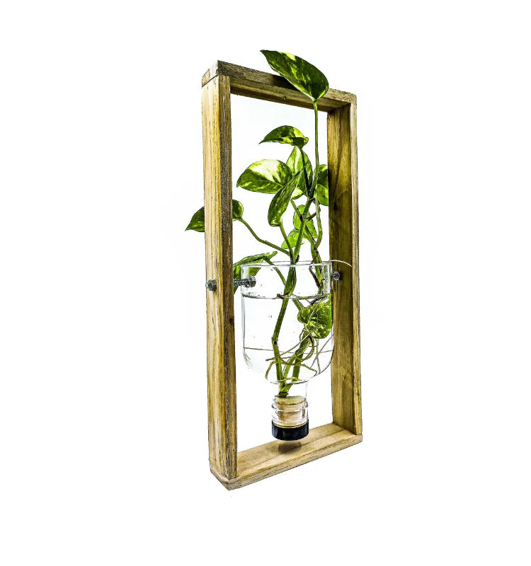 Eco-friendly handmade hanging frame planter crafted from recycled bottles, suitable for herbs, succulents, and festive gifting.