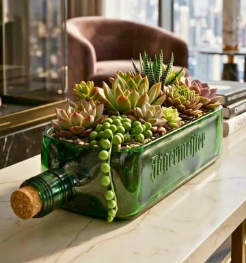 Table top Jägermeister green bottle planter with money plant on a wooden desk