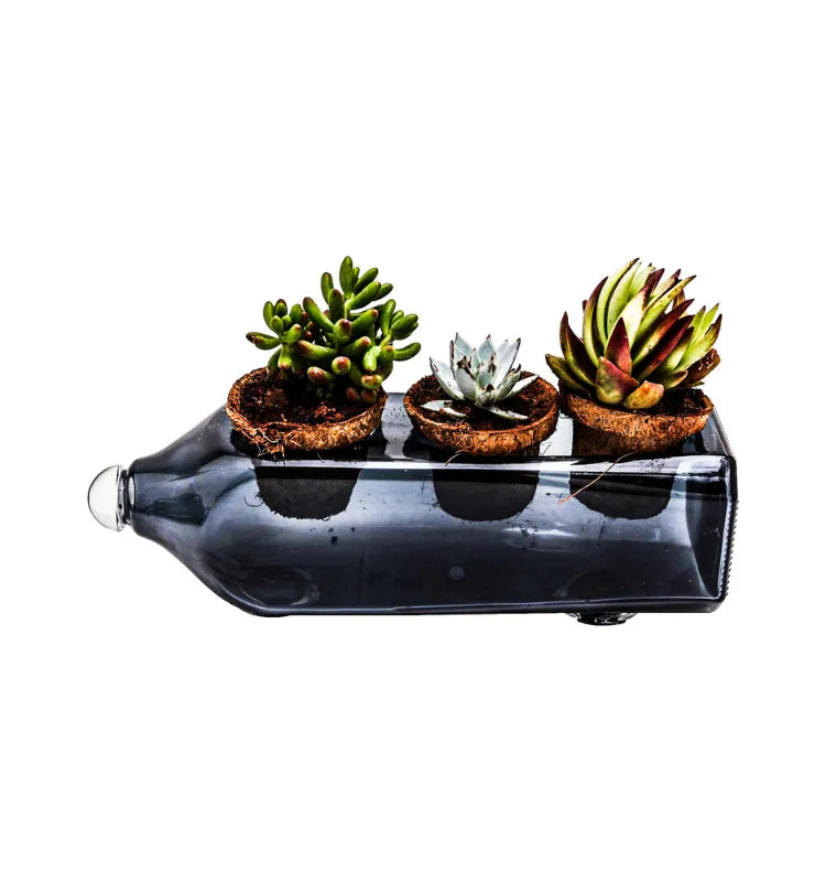 Eco-friendly Johnnie Walker Double Black whisky bottle turned into a glass table top planter