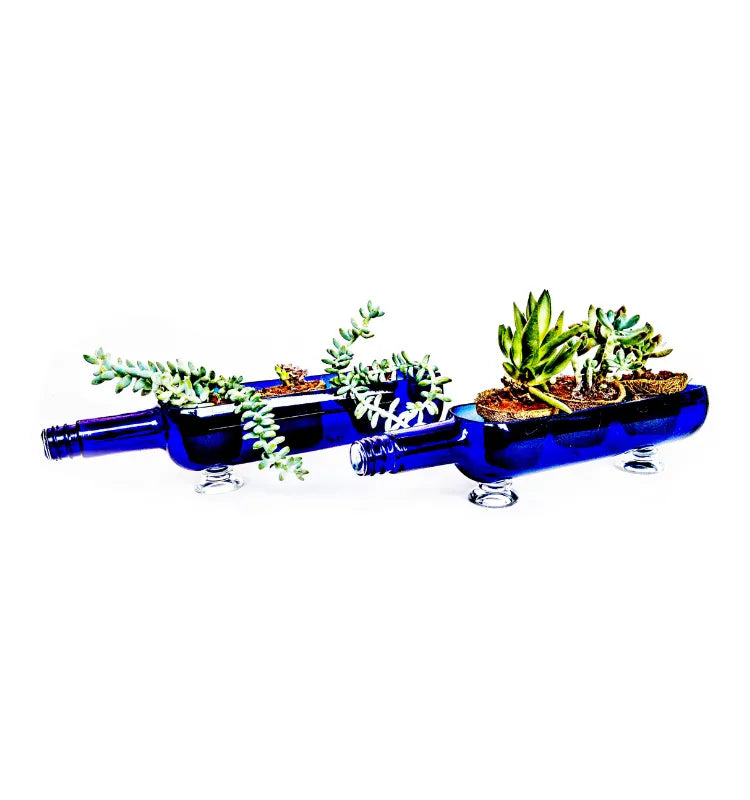 Eco-friendly upcycled glass bottle planter set for home décor