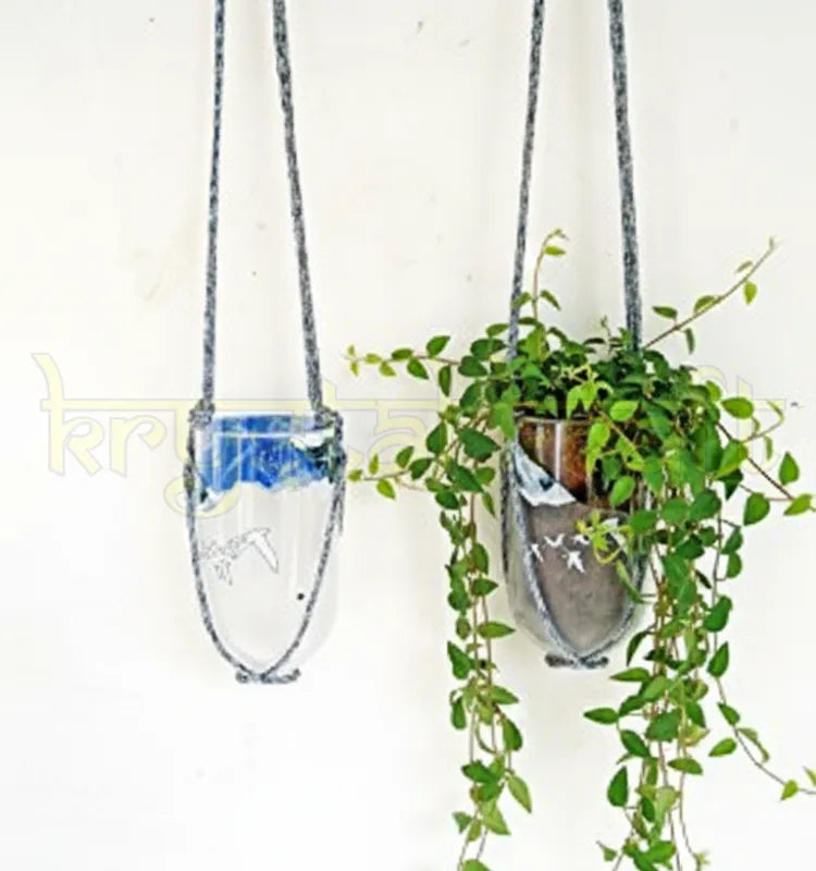 "Stylish modern hanging bottle planter made from upcycled Grey Goose liquor bottles, perfect for plants like money plant and succulents"