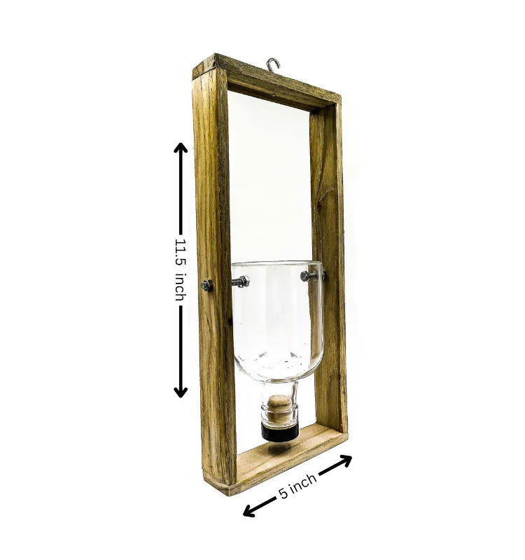 Modern glass bottle wall planter handcrafted in India by Krystal Kraft, ideal for sustainable home décor and balcony gardens.