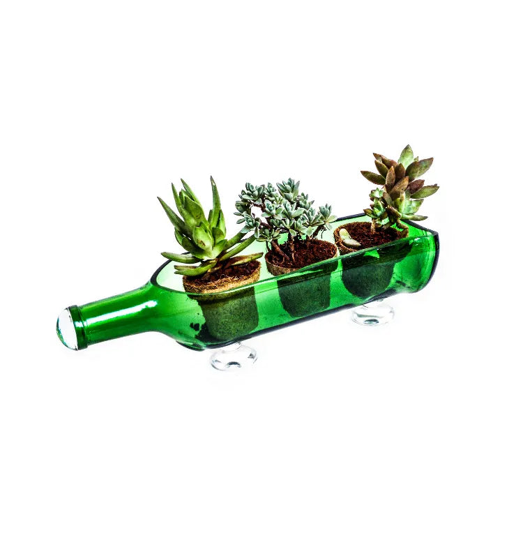Stylish table-top glass planter for indoor and outdoor spaces