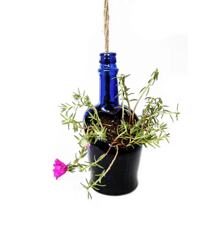 Upcycled blue whisky bottle planter with water drainage outlet, perfect for indoor rooms, terraces, and garden décor.