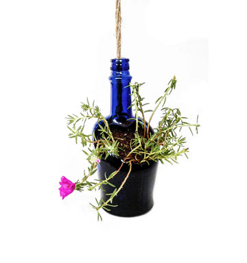 Upcycled blue whisky bottle planter with water drainage outlet, perfect for indoor rooms, terraces, and garden décor.