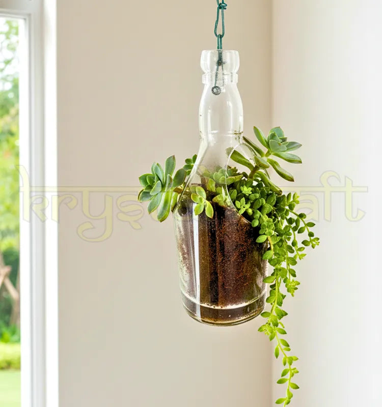 “Eco-friendly Chivas Regal upcycled glass bottle planter hanging indoors with small green plants for sustainable home décor.”