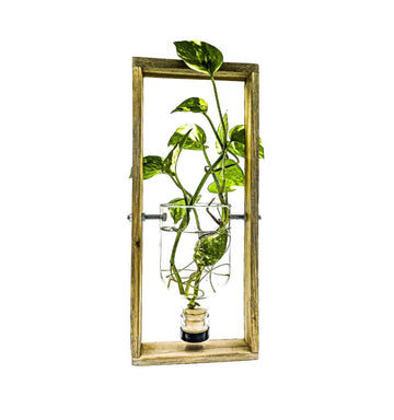 Handcrafted upcycled gin bottle hanging planter by Krystal Kraft, perfect for indoor and outdoor wall décor.